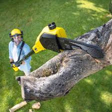 Best Lawn Fertilization  in Graceville, FL